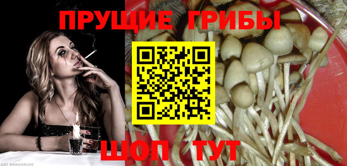 Галлюциногенные грибы GOLDEN TEACHER  Вход с VPN  Реутов 
